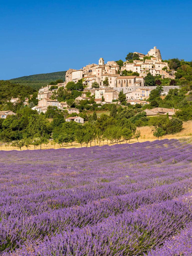SAGESSE Assurances Provence